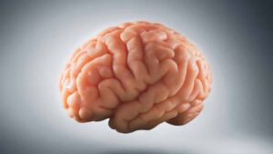 040920 ls review brain feat 1028x579 1