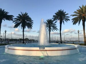 USF Photo scaled
